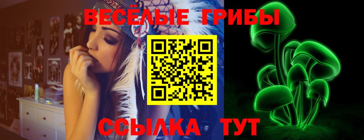 Подольск  Псилоцибиновые грибы MAGIC MUSHROOMS  Вход с VPN 
